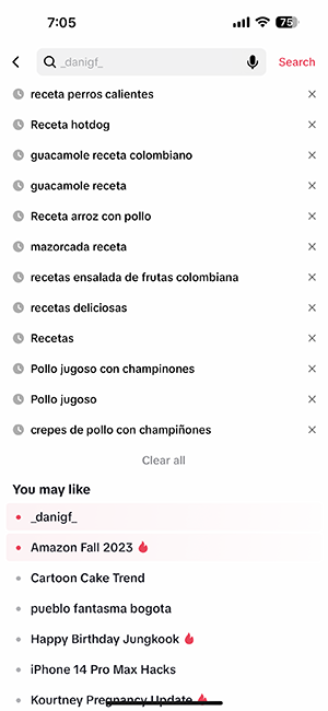 image tiktok recipes